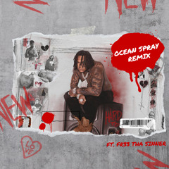 OCEAN SPRAY REMIX - FT FR33 THA SINNER