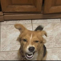 Lil Uzi bus tour remake