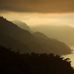 Afternoon Breaks 1-30-21