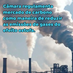 Câmara regulamenta mercado de carbono como maneira de reduzir as emissões de gases do efeito estufa