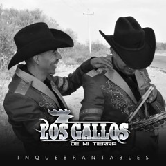 Los Gallos De Mi Tierra - El Chueco Galindo (Corrido)🐴