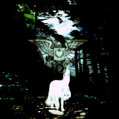 soimportant  [prod. 555bzy]