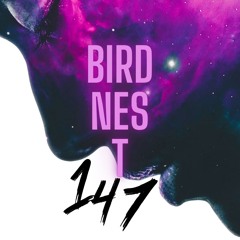 BIRDNEST # 141