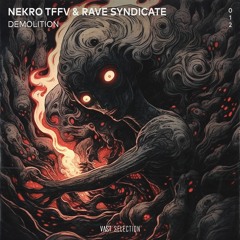 Nekro TFFV & Rave Syndicate - Demolition [VS012]