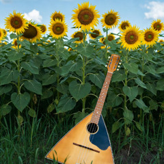 Тури́ст невда́ха