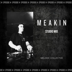MESMER #014 - Melodic Techno Studio Mix