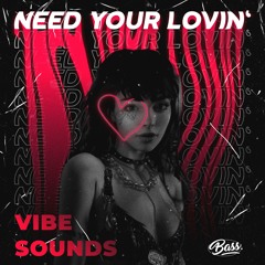 Vibe Sounds - Need Your Lovin'