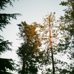 Larkin Poe - Holy Ghost Fire Cover (Drums & Percussion)