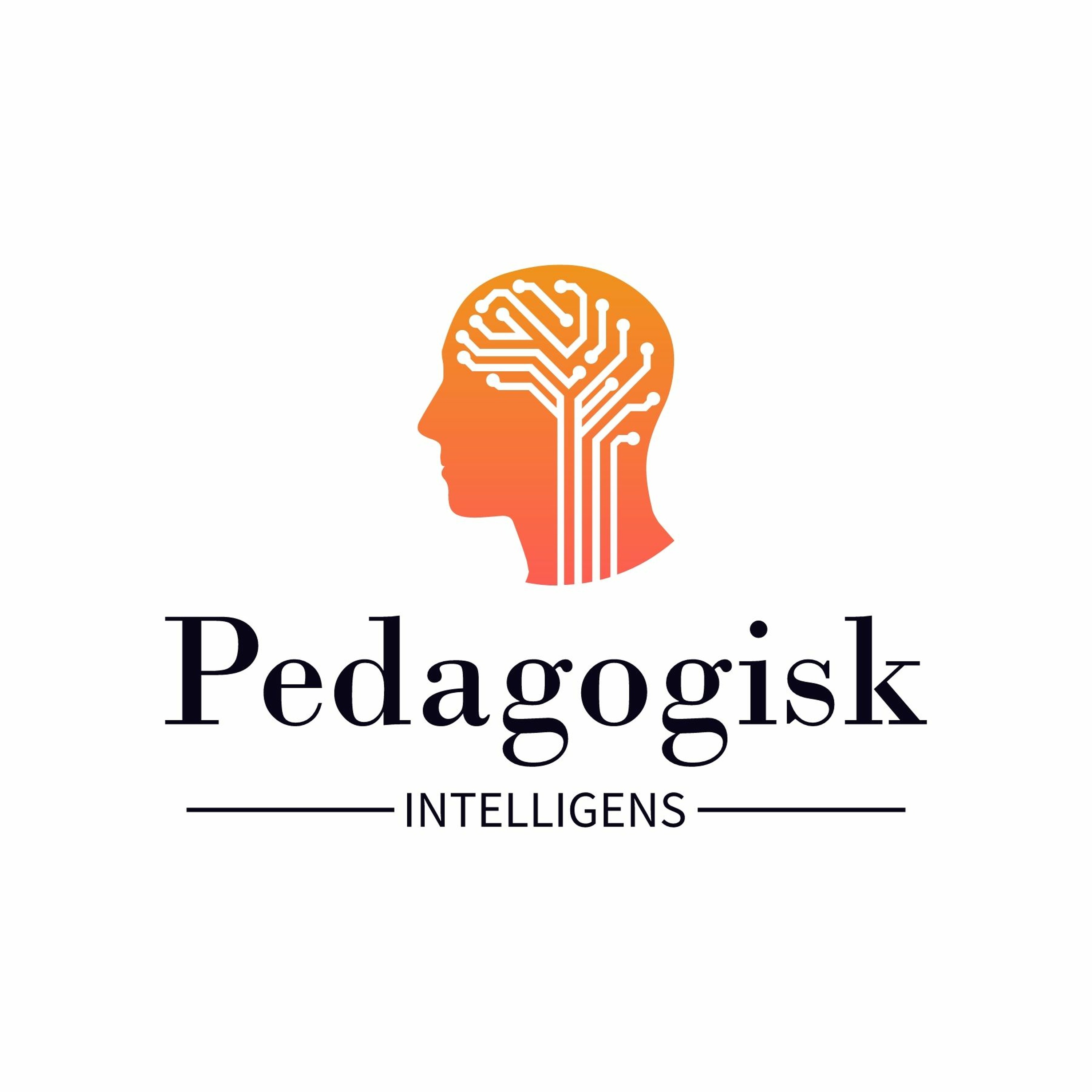 Pedagogisk intelligens