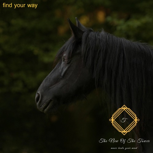 Find Your Way