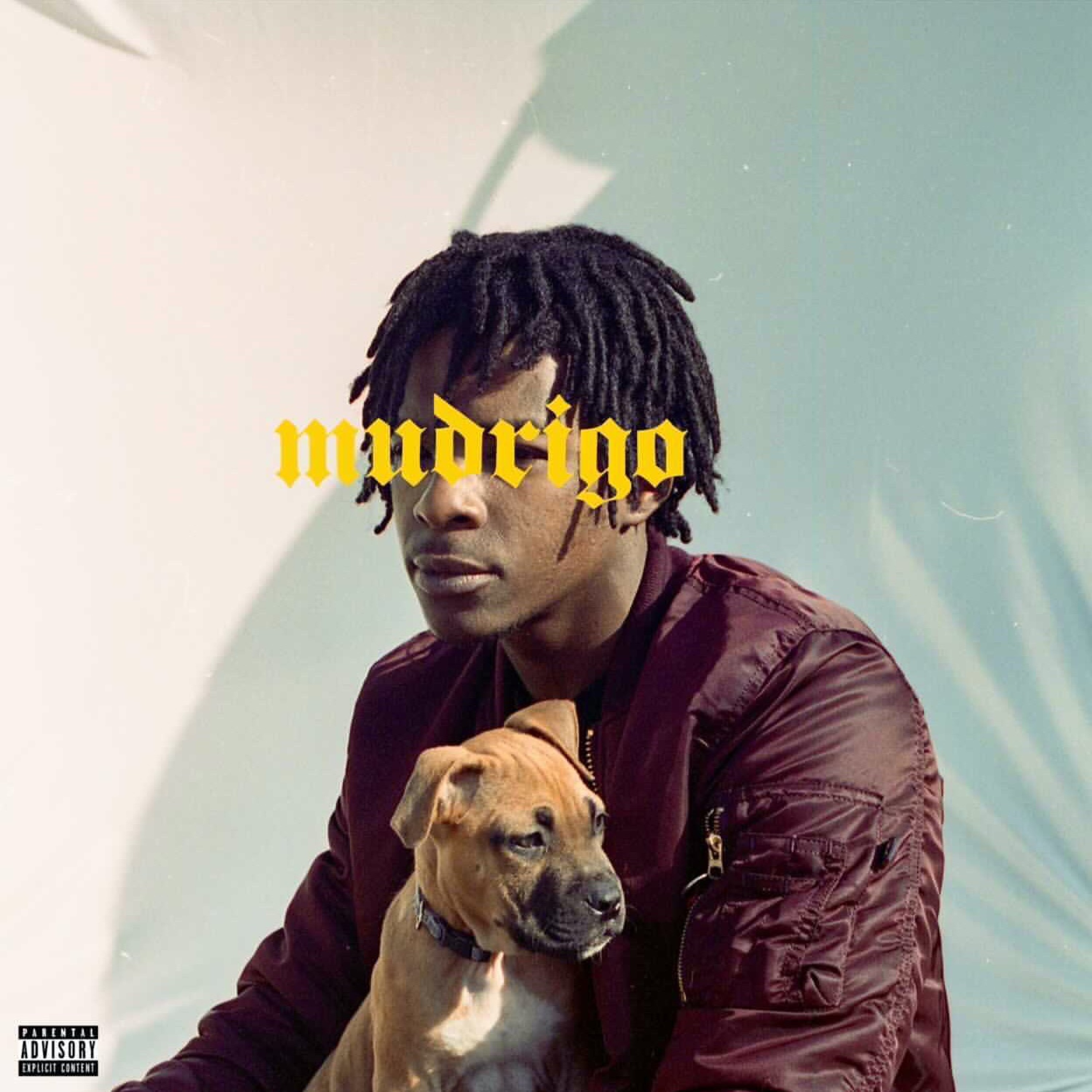 Hood episode artwork