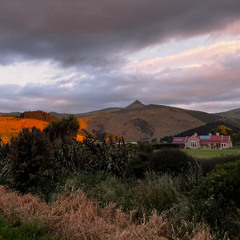 For Rosie on the Hill