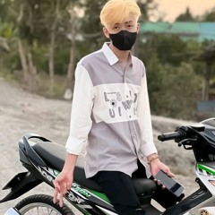 3IN1  VET THUONG TRONG LONG FT TAI TUI MU  -  PO RMX  ( SOWN )