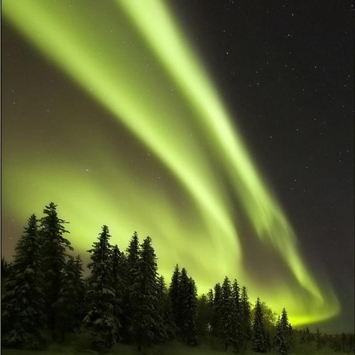 Chosen Few - Positivity (Rude Mix)