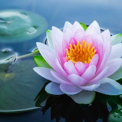Meditation