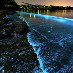 HÀLA FUITE (feat Cgang)