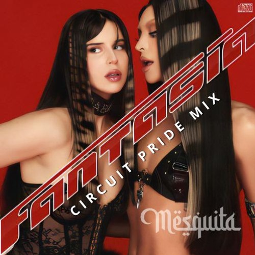 Pabllo Vittar, T. Antony - Fantasia (TMSQ PRIDE Melodic Circuit Mash) FREE DOWNLOAD