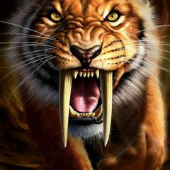 NEW_GANG__Ft._Melson_TOU_A_LE_DA(PROD.ZILSON_GIME_