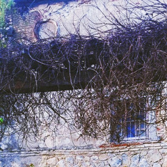 Whipped Cream Delight