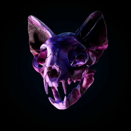 Darci - Tell Me When