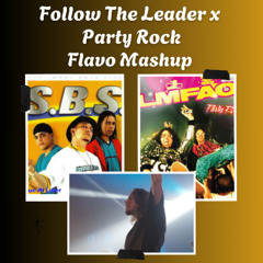FOLLOW THE LEADER x PARTY ROCK (FLAVO FREE MASHUP)