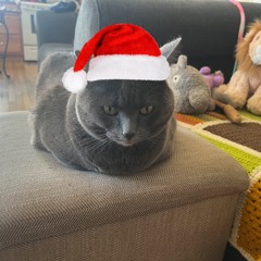 Merry Christmas King Louie