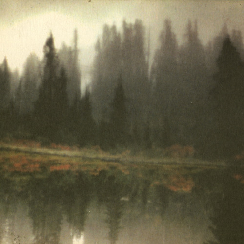 Comfortable with Failure