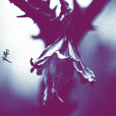 Ascension