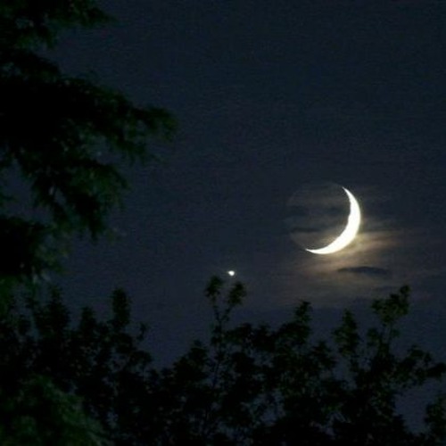 the moon is beautiful isnt it