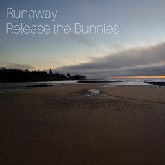 Runaway (Vocal Edit)