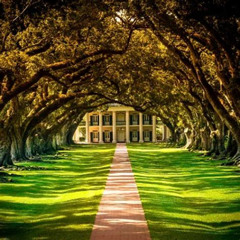 Review Special Price Oak Alley Or Laura Plantation Tour From New Orleans