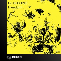 Premiere: DJ Hoshino - Freedom - Critique