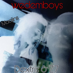 wedemboys ft. Z7 (Maajins)