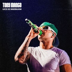 Innerbloom, Luces De Tecno (TONY MANGO Remix) - Rufus Du Sol vs Feid