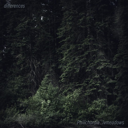 Differences w/ ivmeadows (Feat. Naz Brett)
