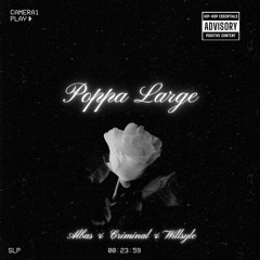 WillyStyle & Dj Albas & Criminal -Poppa Large Previa2024
