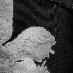 ghost in my hotel room