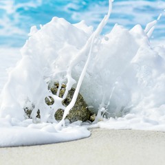 Beach Rock