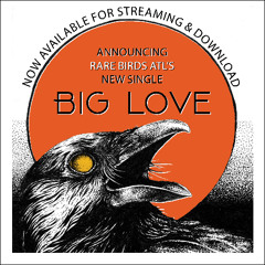BIG LOVE Rare Birds ATL 4.10 min - 16bit