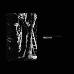 Fraunhofer Diffraction - Todesopfer IV