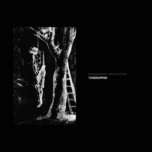 Fraunhofer Diffraction - Todesopfer IV