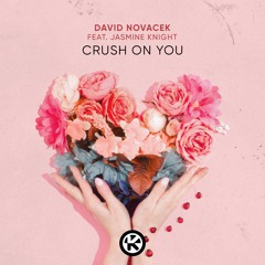 DAVID NOVACEK feat. JASMINE KNIGHT- Crush On You (Original Mix)