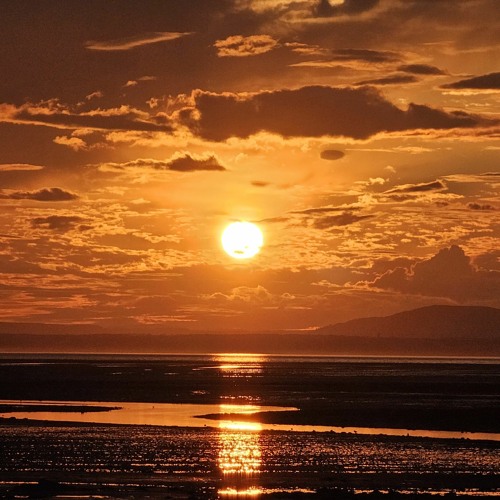 DJ set - February 2024 #3 (deep house, prog house, dark electro, spacey electronica, downtempo)