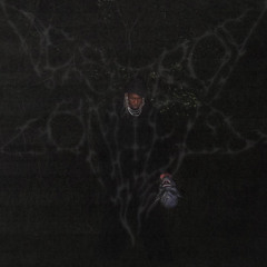 Destroy lonely - Suicide mission