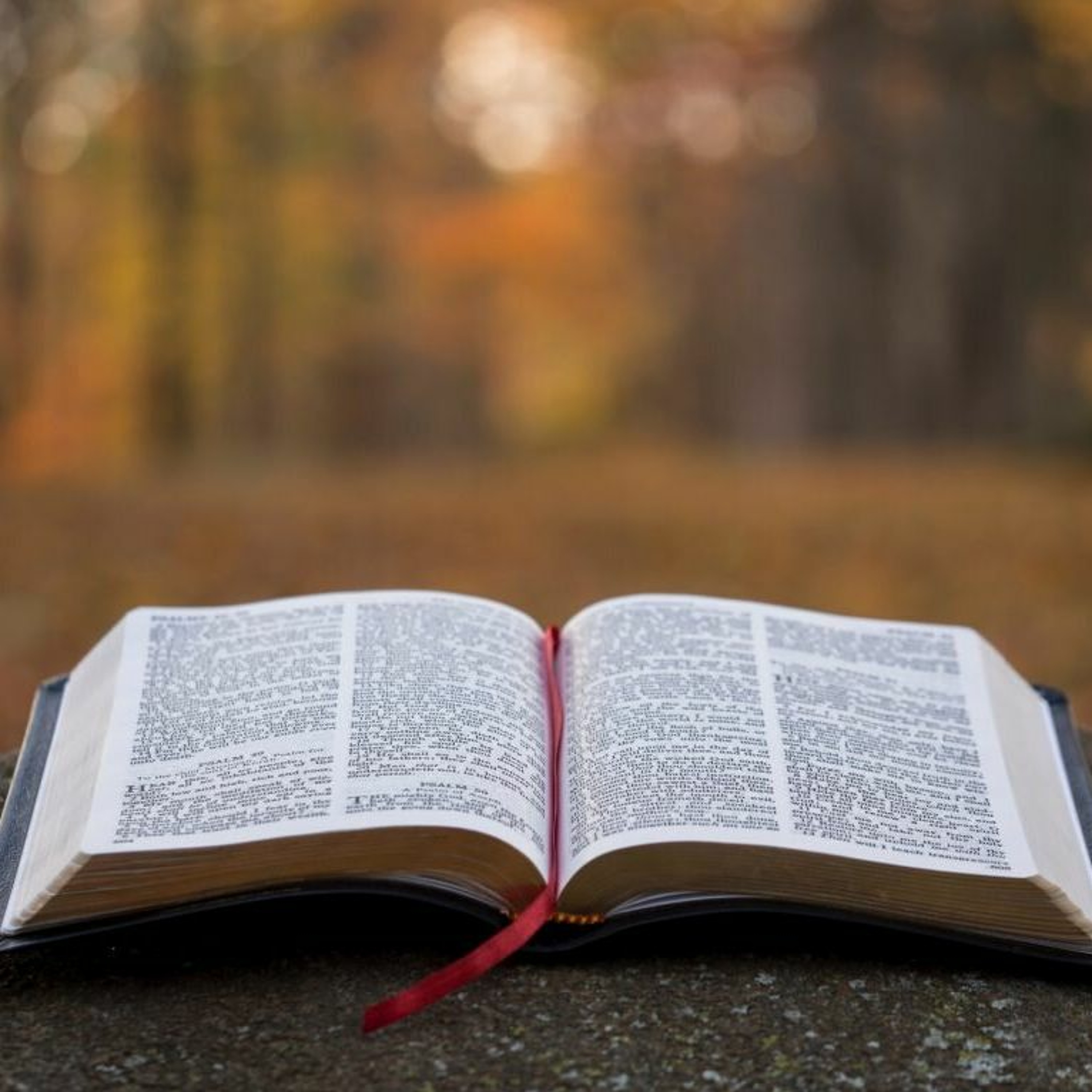 Sola Scriptura (Yes, Absolutely-Which is Why We are Charismatic!) thumbnail
