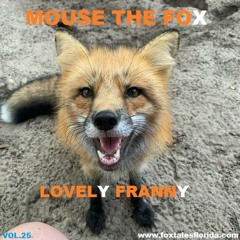 MOUSE THE FOX - LOVELY FRANNY - VOL.25 - 13.06.2021