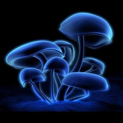 DJ Borai  Mix   -  Rob Darky 19.05 -