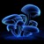 Artwork for DJ Borai  Mix   -  Rob Darky 19.05 -