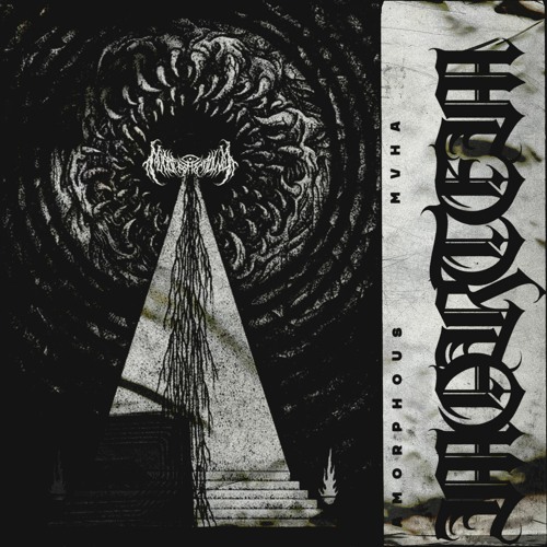 Amorphous & MVHA - Mortem