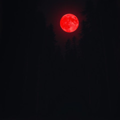 Blood Red Moons